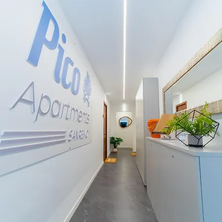 Апартаменти Pico 51