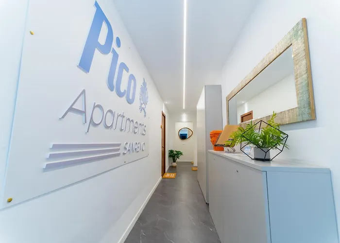 Apartment Pico 51